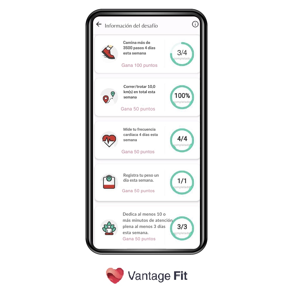 Información del desafío.png