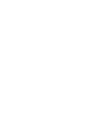 apple icon