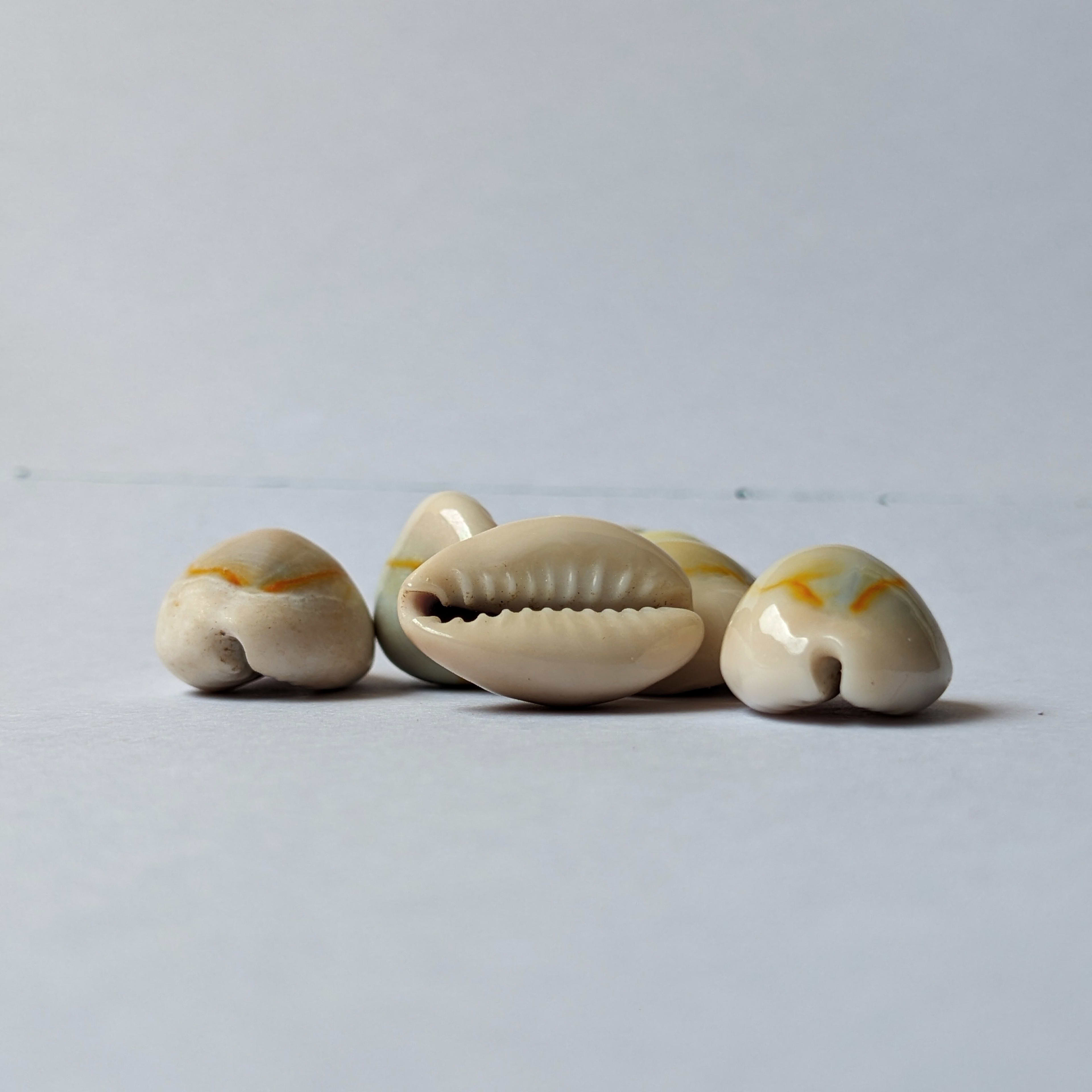 White Kaudi / Safed Kowdi (Pack of 5)