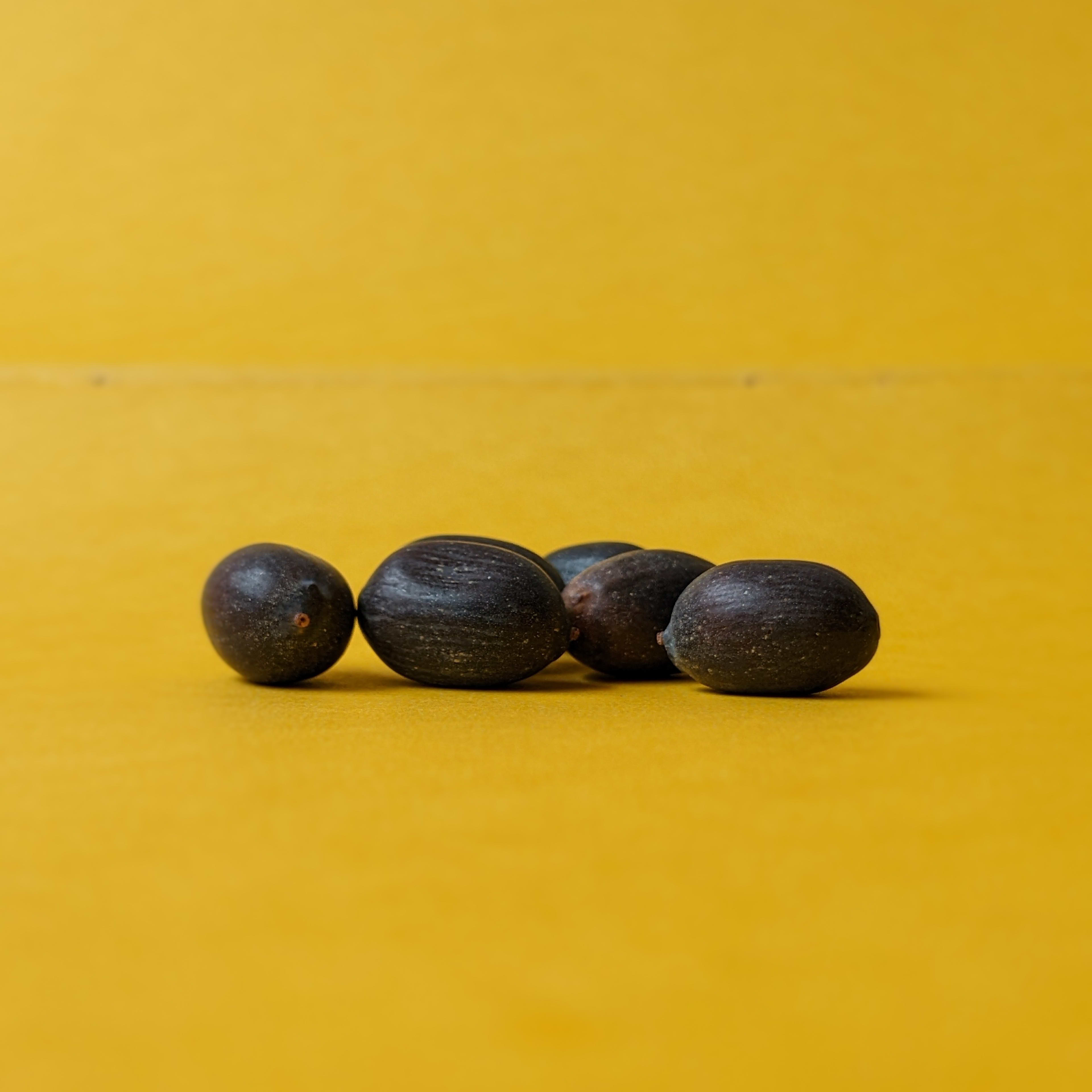 Kamal Gatta / Lotus Seeds (Pack of 5)