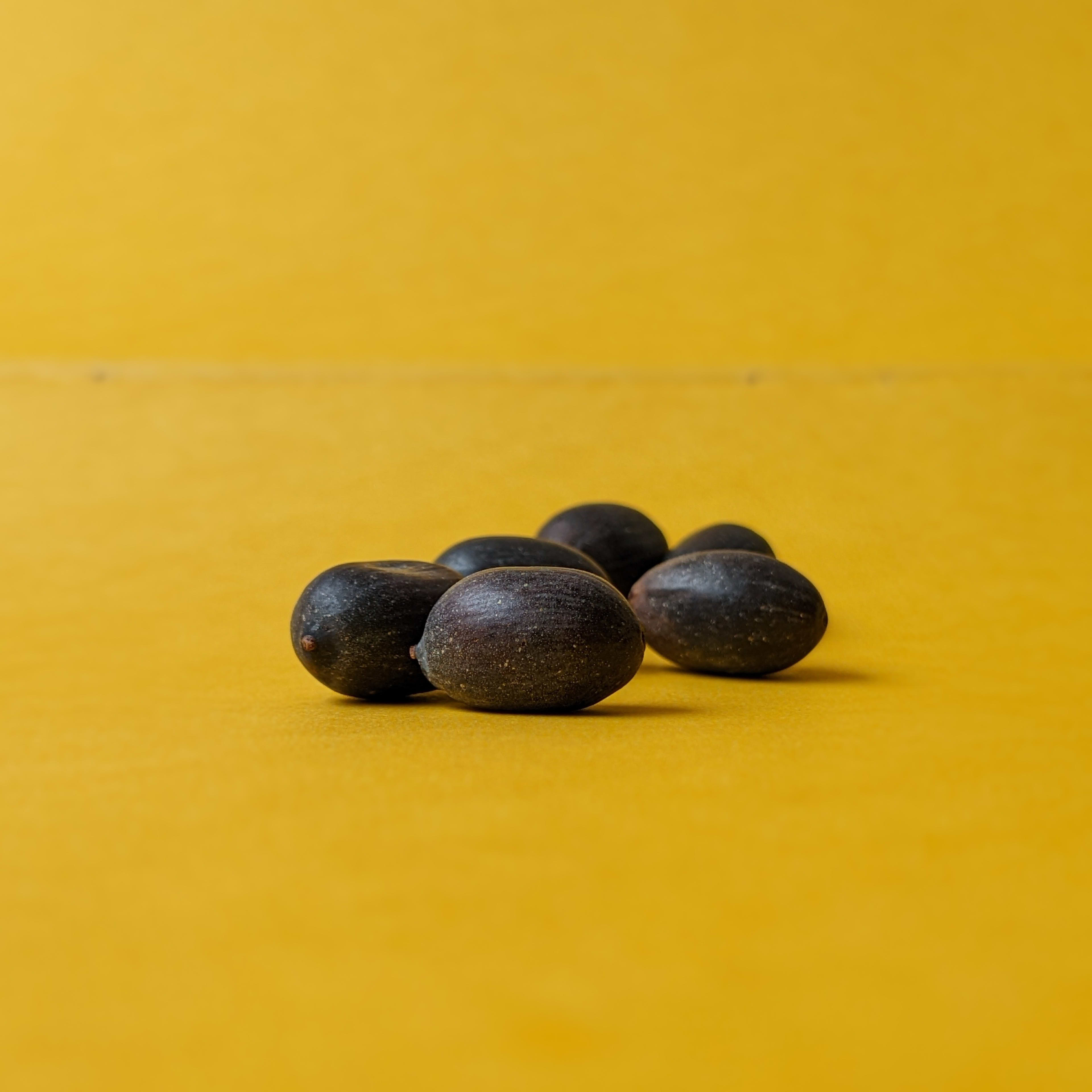 Kamal Gatta / Lotus Seeds (Pack of 5) - view 2