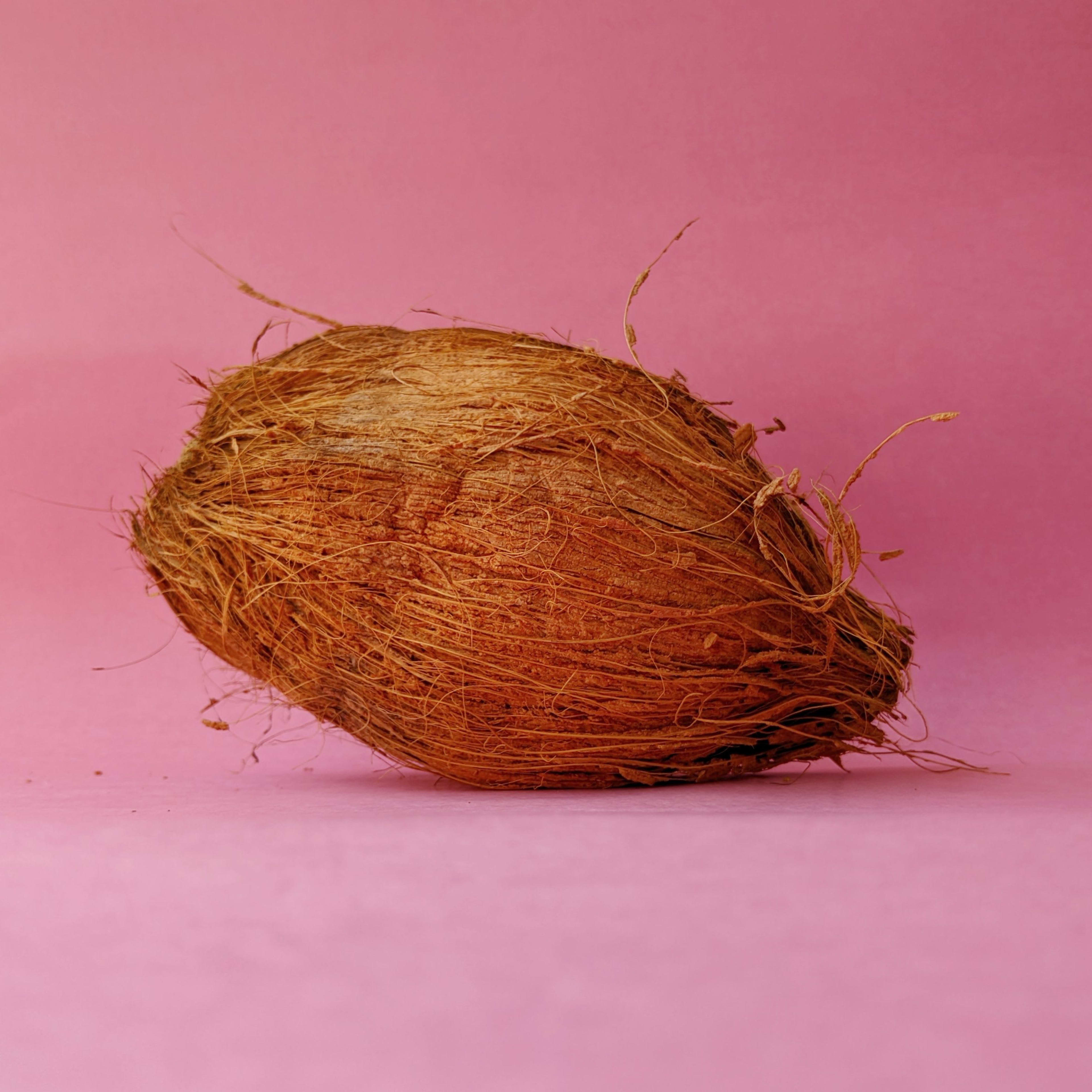 Whole Nariyal (Coconut with water) - view 2