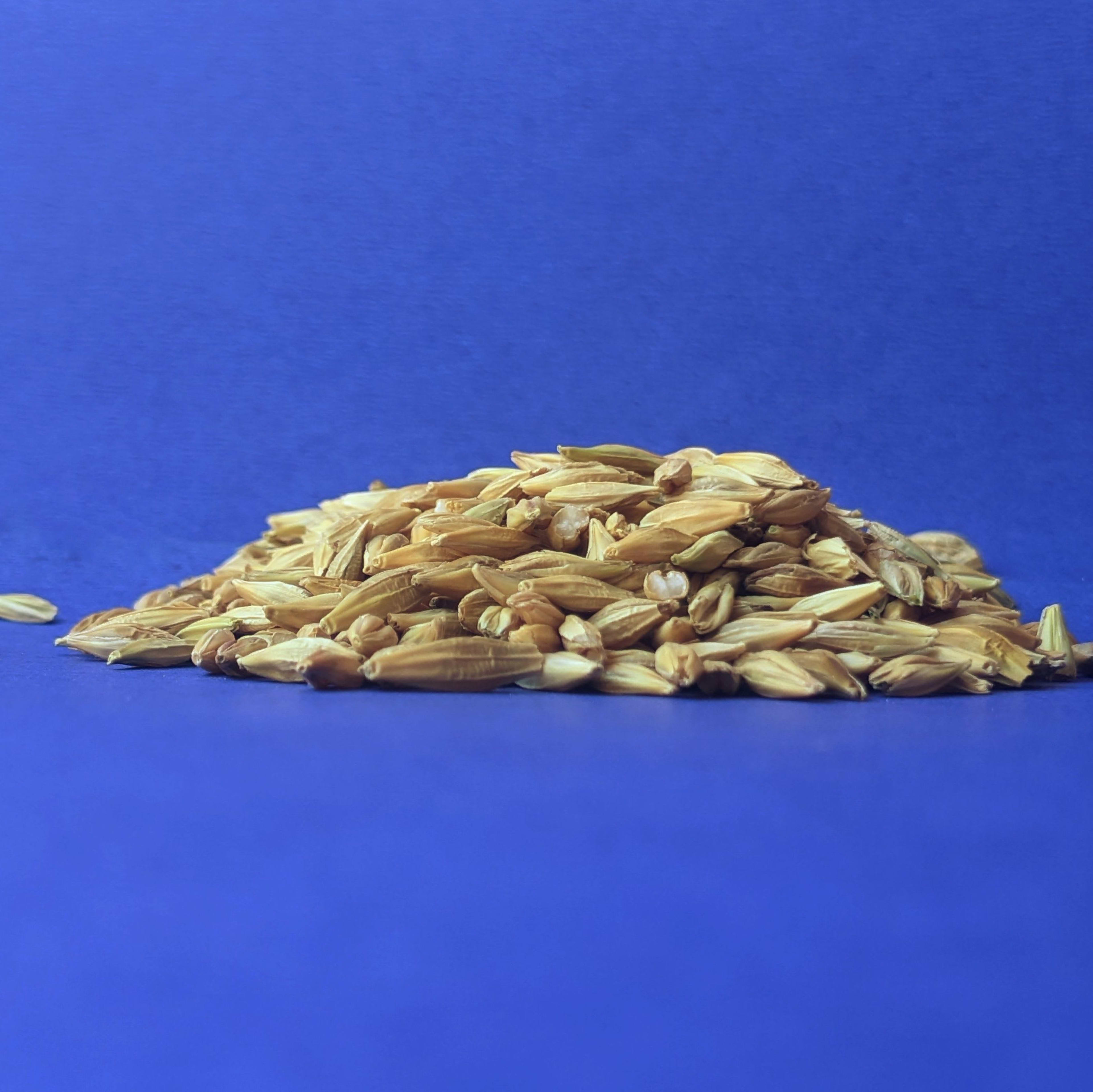Sabut Jau (Jav) 50g