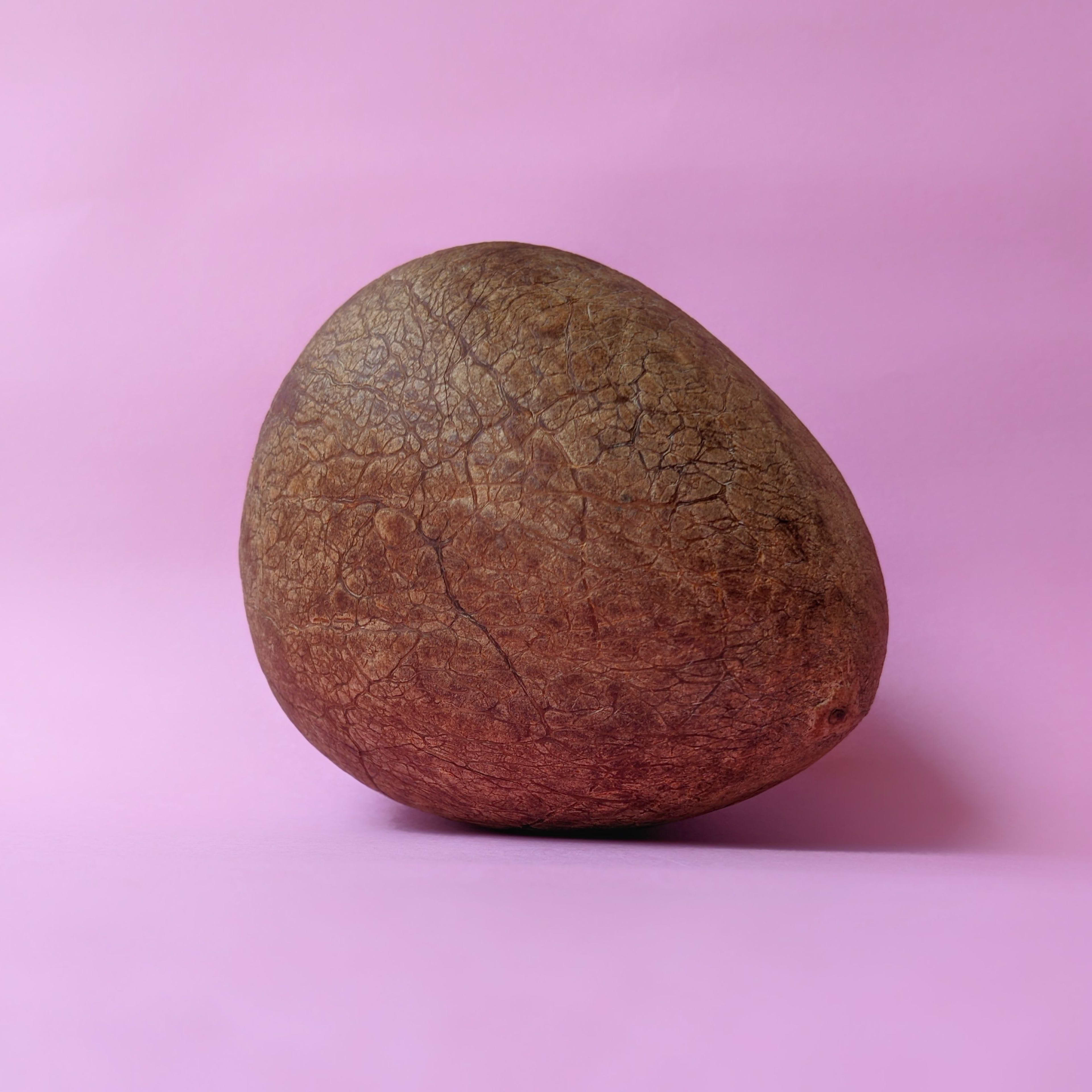 Gola | Spotless & Crack Free | Dry Coconut Khopra
