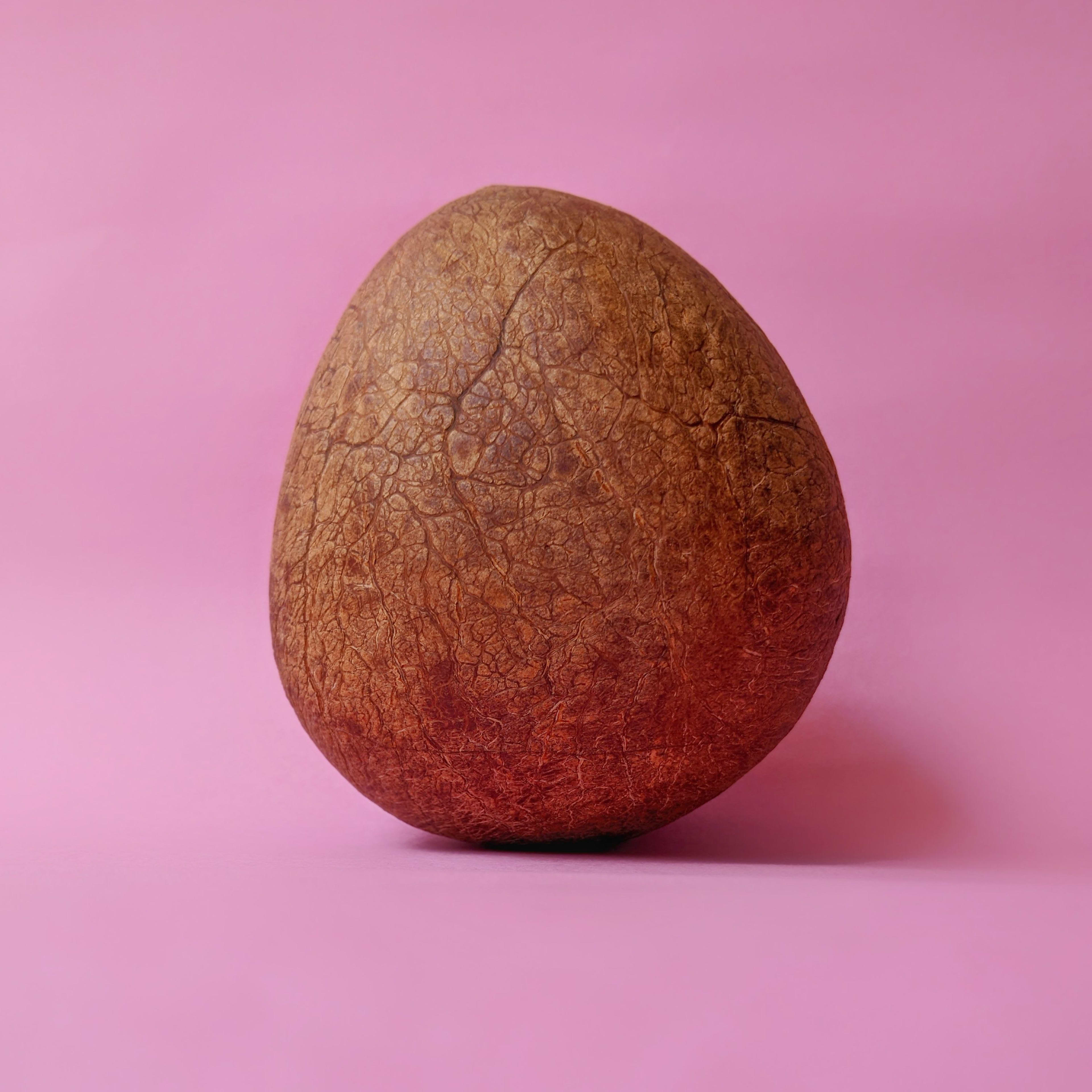 Gola | Spotless & Crack Free | Dry Coconut Khopra - view 2
