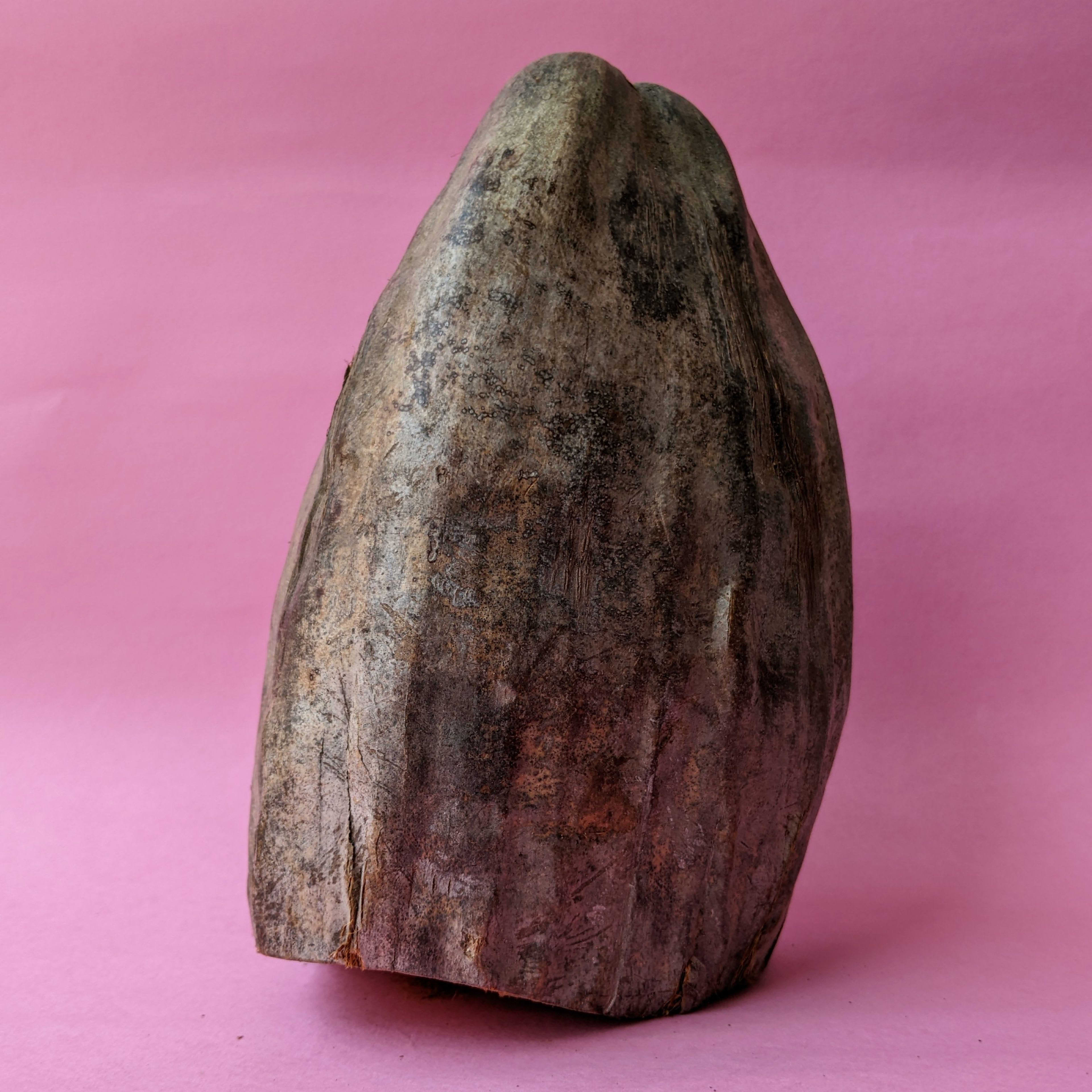 Shrifal | Whole Coconut Dry | Chhat Puja Nariyal