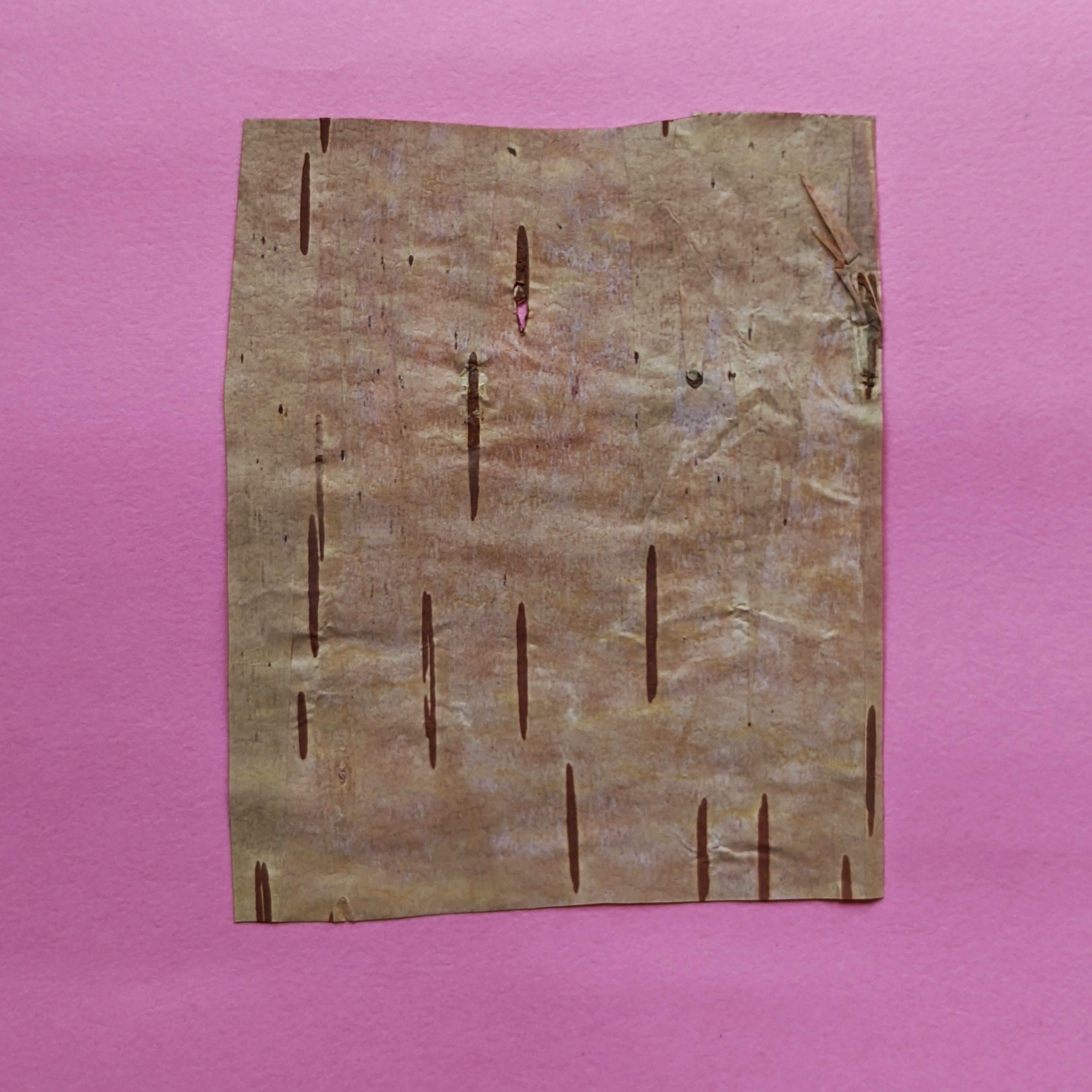 Bhoj Patra (1 piece)