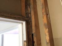 Termite Damage Repair by JV Constructions