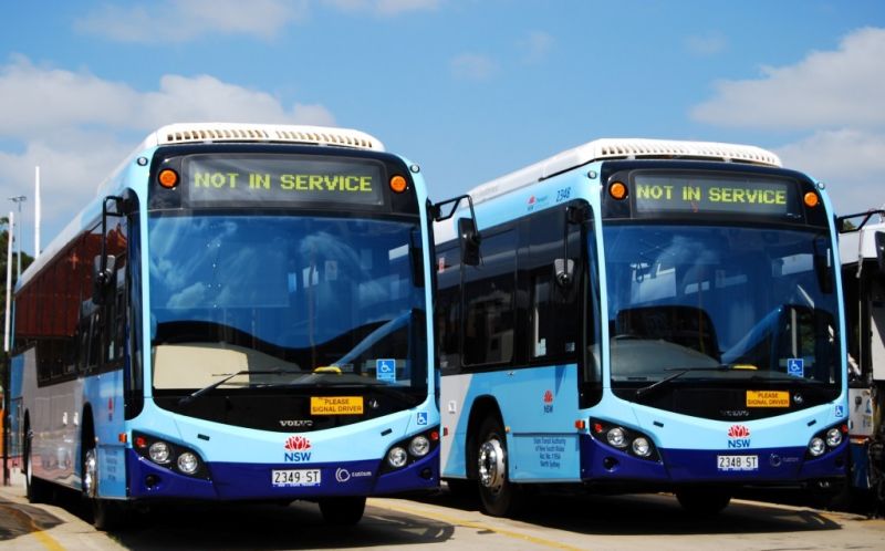 School Bus Services School Bus Services