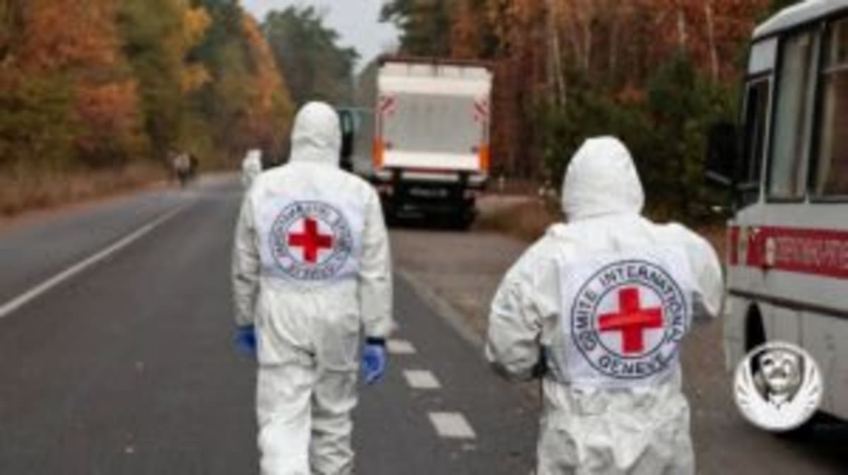 В Україну повернули тіла 252 загиблих на війні