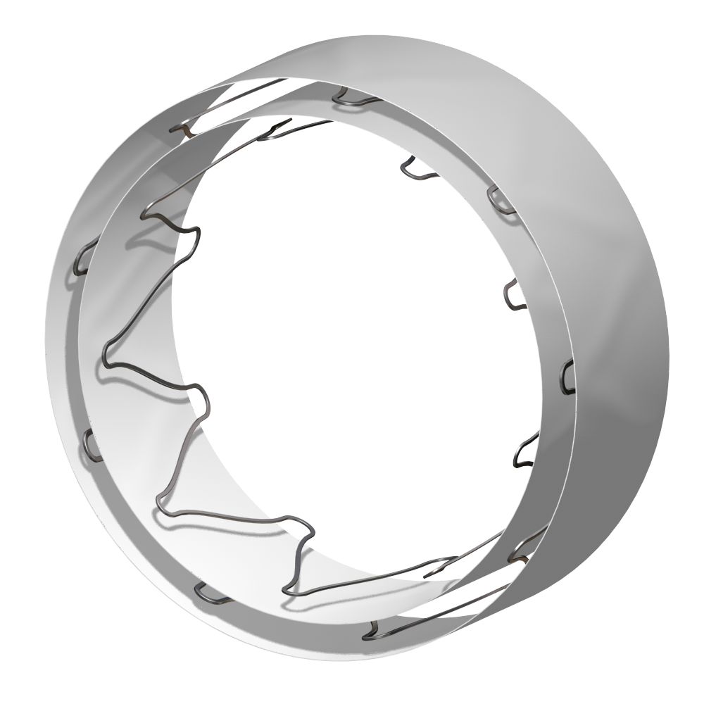 BeGraft peripheral PLUS picture