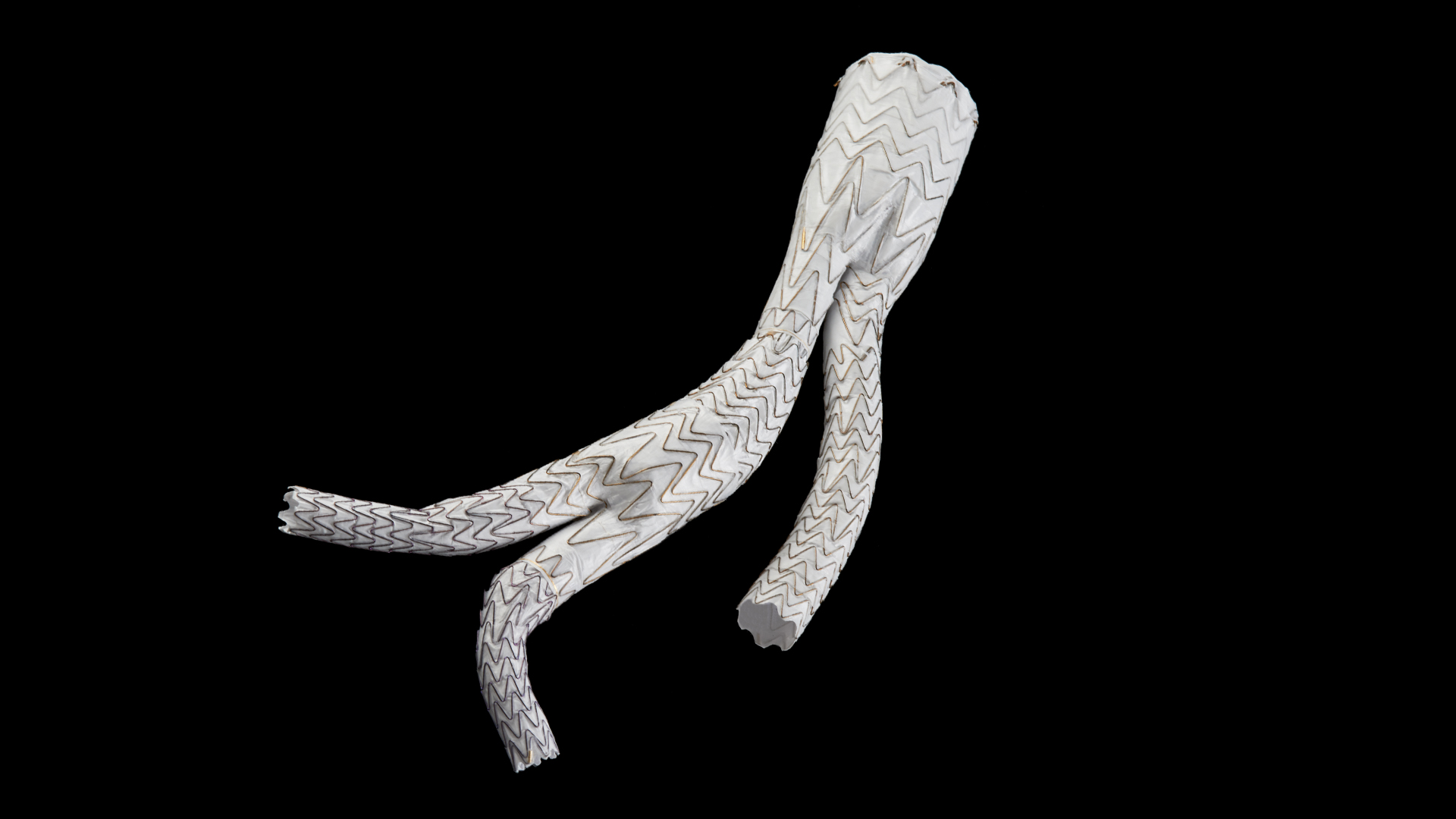 GORE® EXCLUDER® Iliac Branch Endoprosthesis