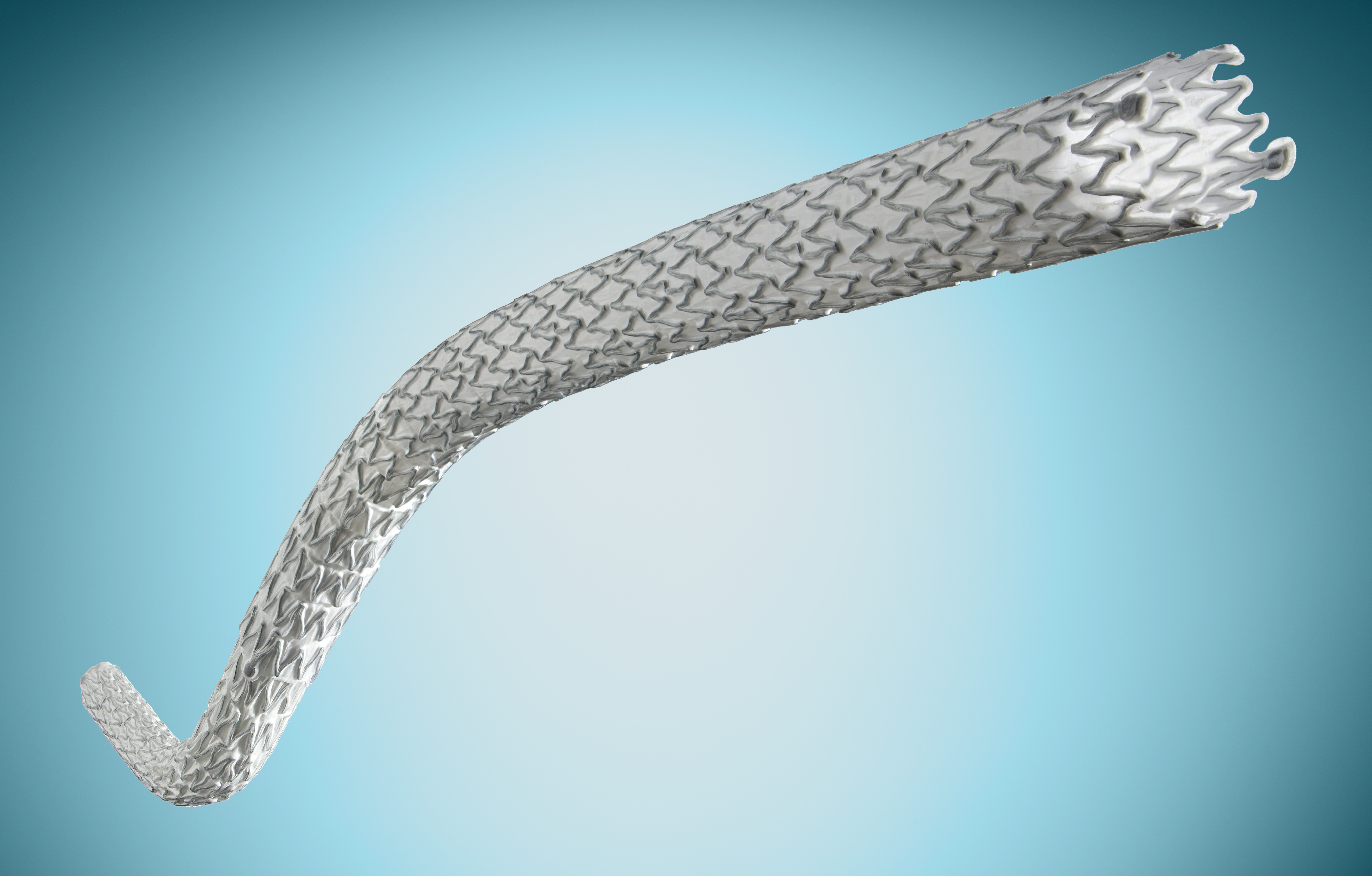 LimFlow Stent Grafts