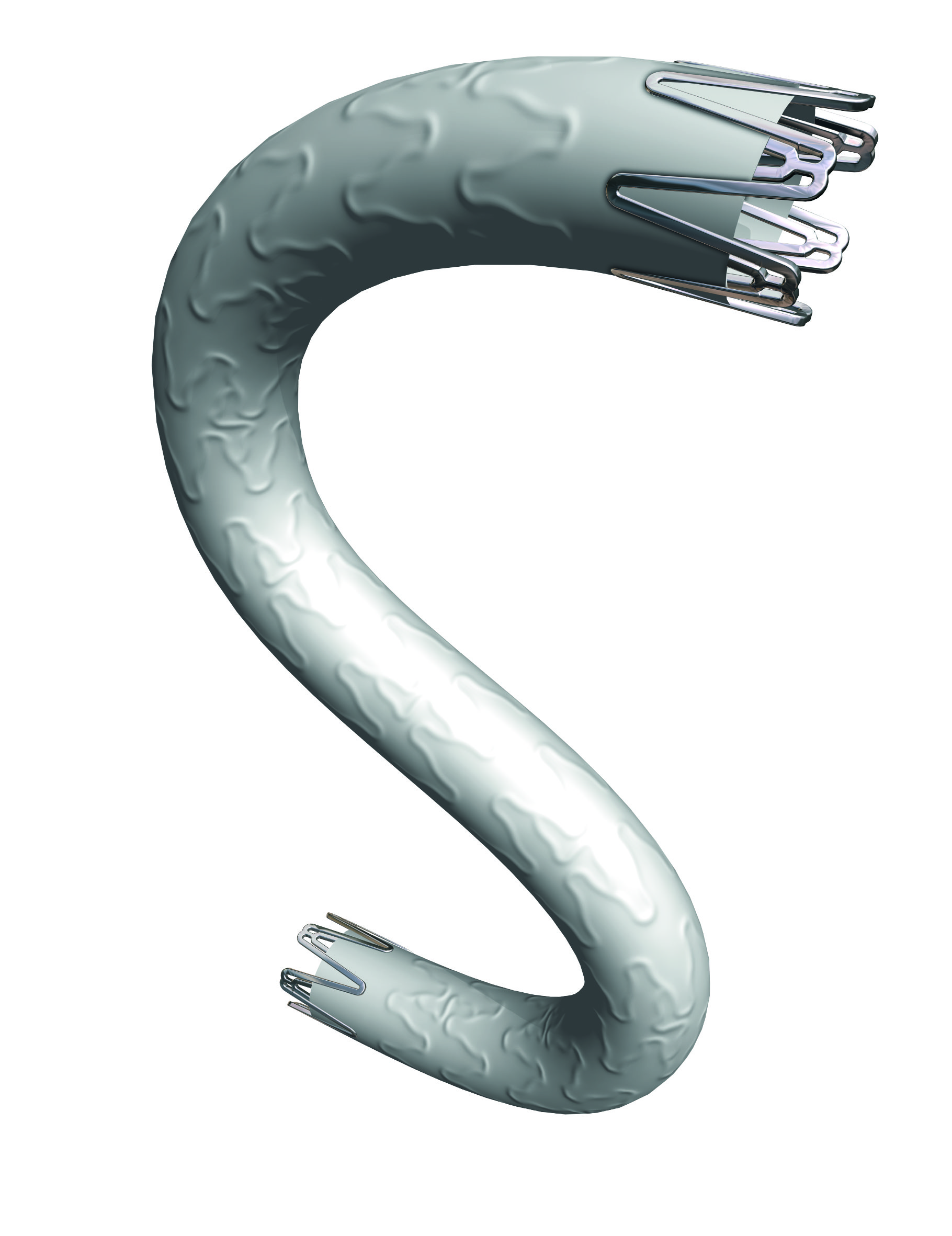 BeGraft Coronary