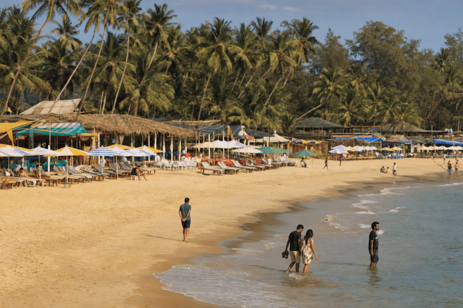 Veetrips Sun beds and beach shacks along the sand at Baga and Calangute in Goa
