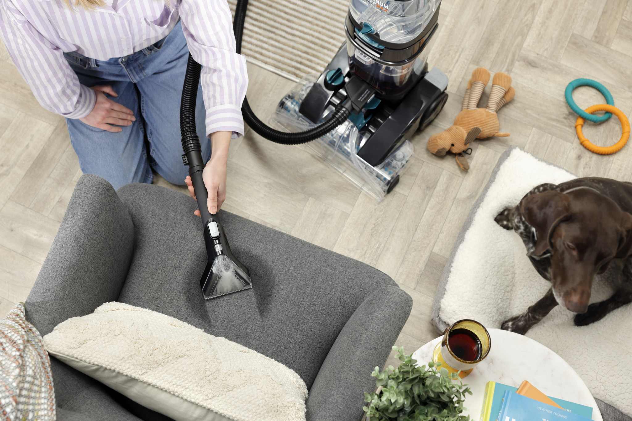 Power Max Pet-Design cleaning Upholstery with the 2-in-1 Antimicrobial Tool