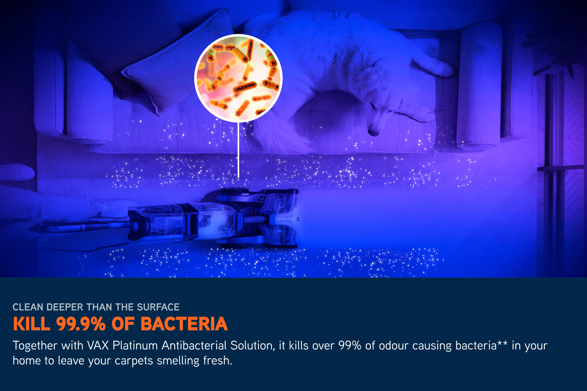 VGID GALLERY/Carpet Cleaners/Platinum SmartWash Pet-Design/Image_06_Platinum_SmartWash_-_3840x2560_72DPI_Web