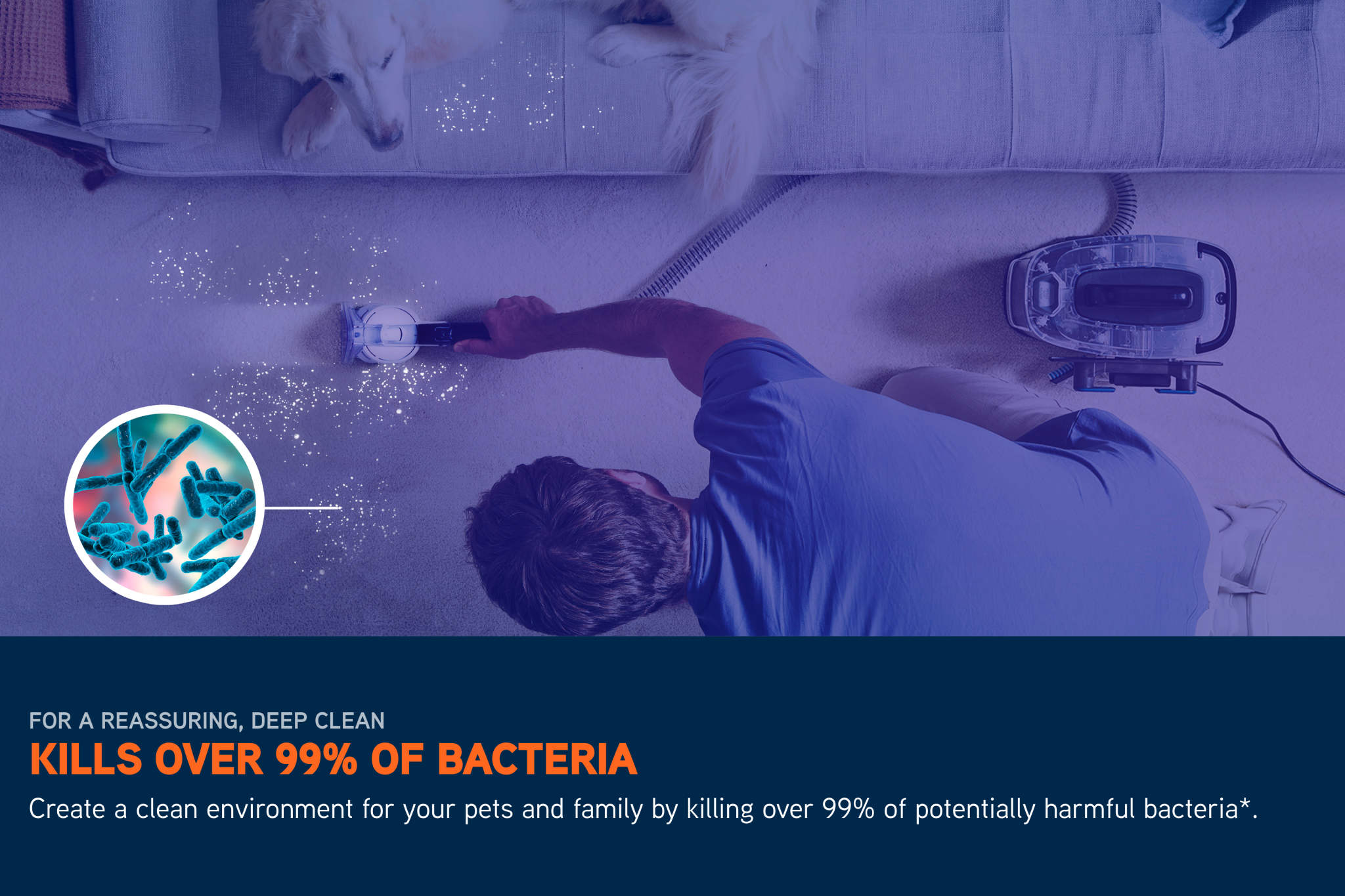 VGID GALLERY/Spot Cleaners/SpotWash Home Range/SKU2 - SpotWash Home Pet-Design/Image_6_Spotwash_Home_Pet-Design_-_3840x2560_72DPI_Web