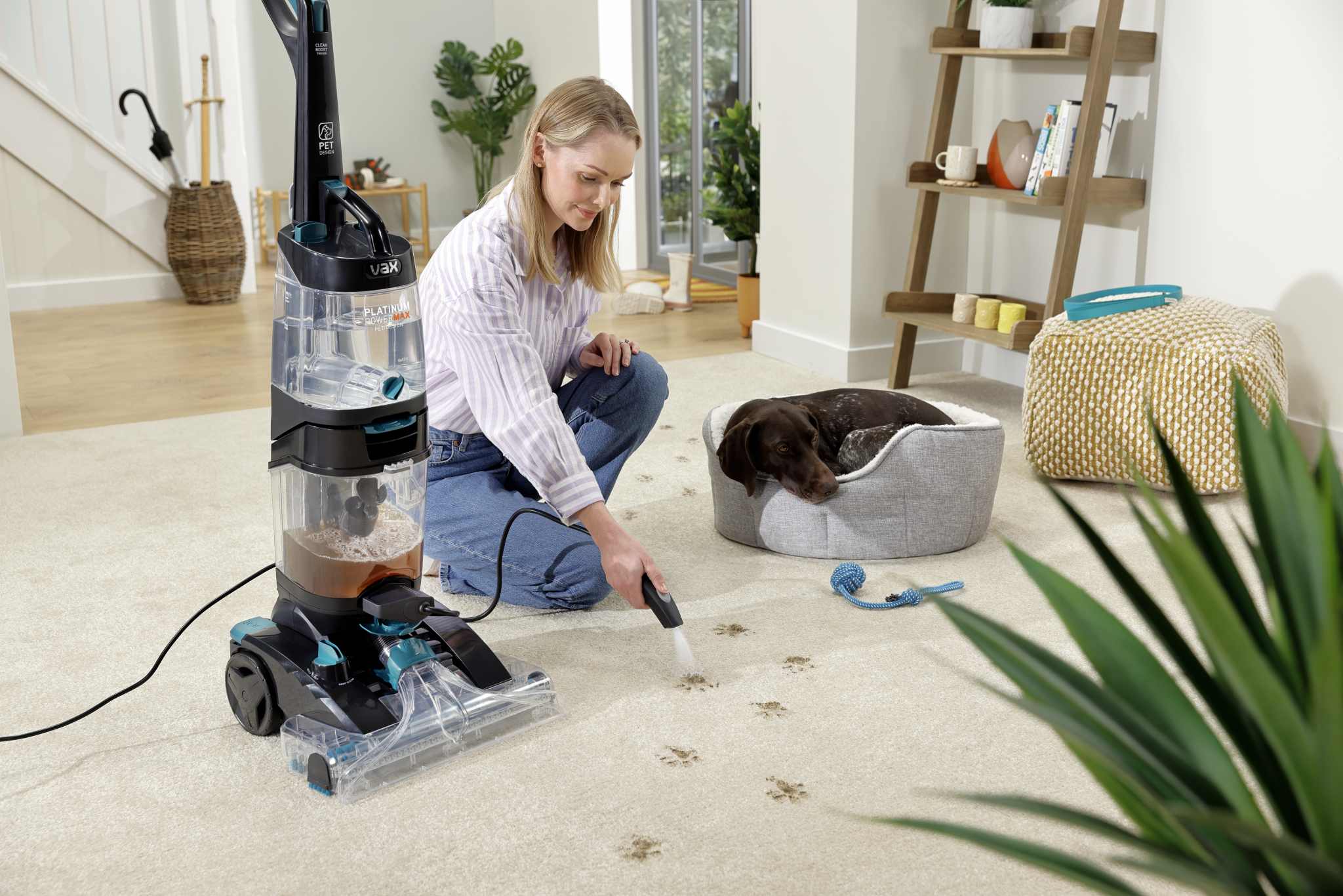 Long Reach Carpet Cleaners