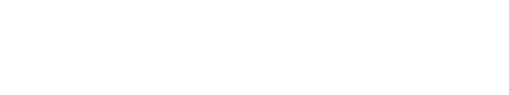 Spot Cleaners
