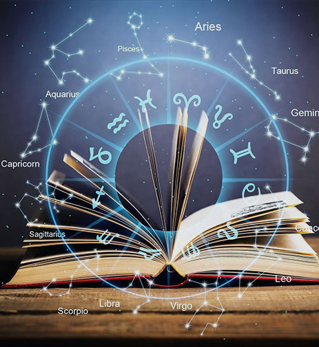 Career & Business Guidance