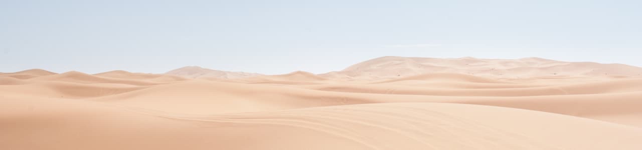 A desert with dunes