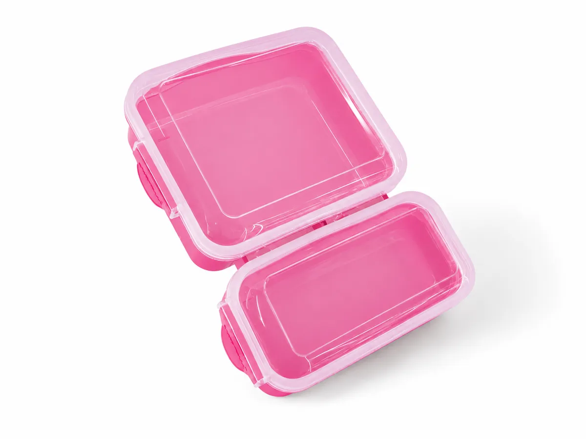 Compartment Lunch Box with Secure Clear Lid - Leakproof Bento Box for School & Work