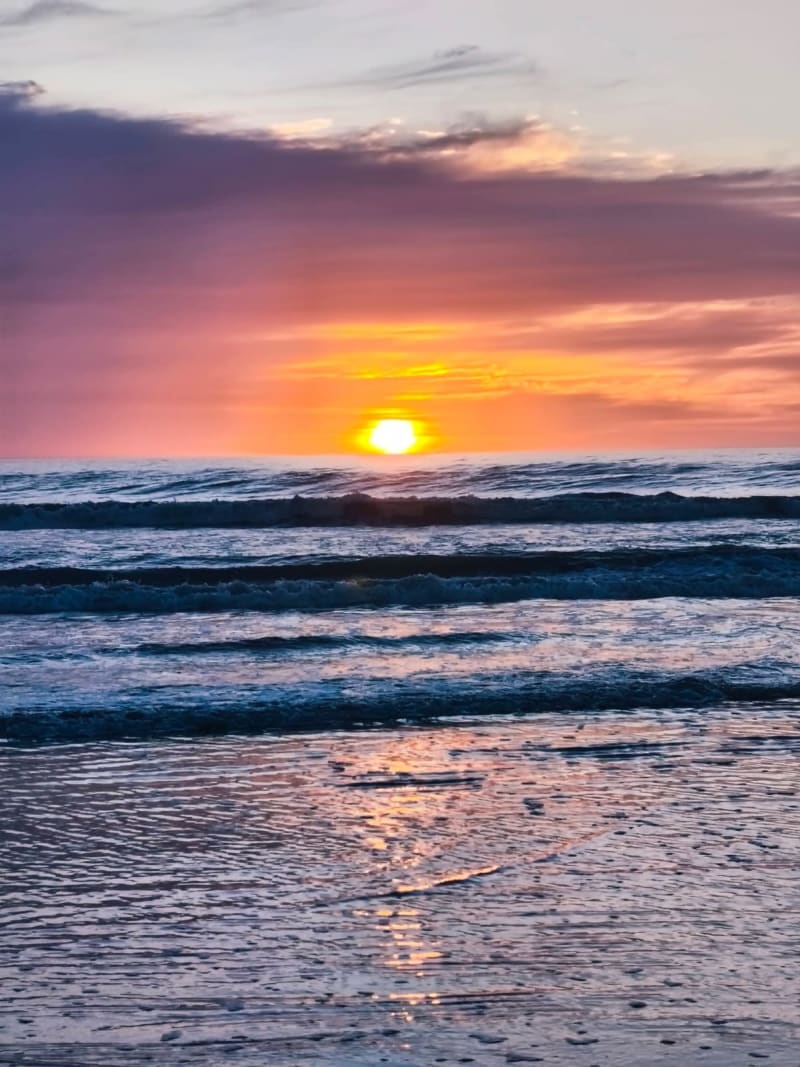 SAN BERNARDO