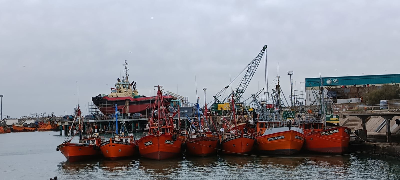 Imagen de MAR DEL PLATA