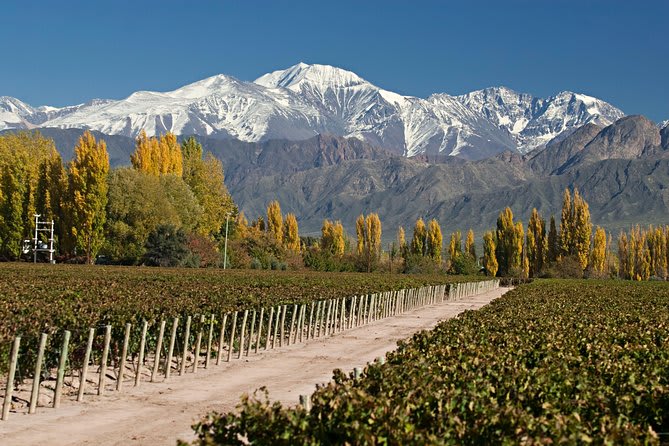 Imagen de MENDOZA CAPITAL