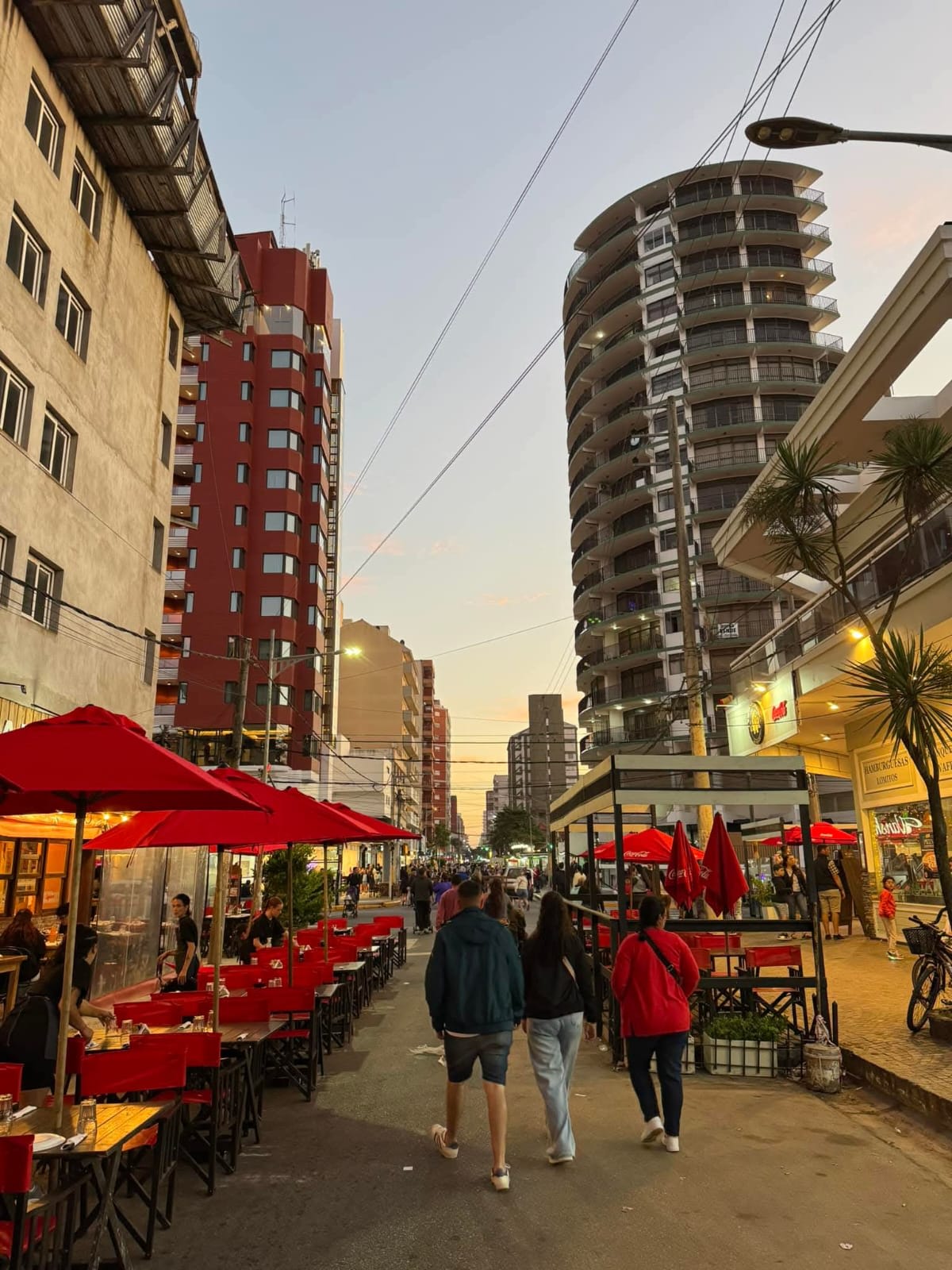 Imagen de SAN BERNARDO
