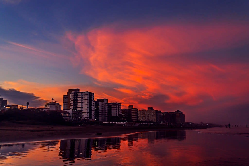 Imagen de SAN BERNARDO