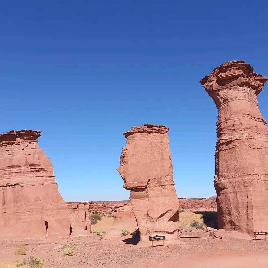 Imagen de TALAMPAYA Y VALLE DE LA LUNA