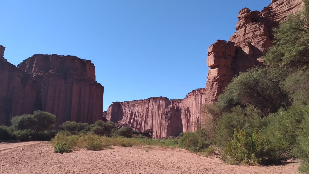 Imagen de TALAMPAYA Y VALLE DE LA LUNA
