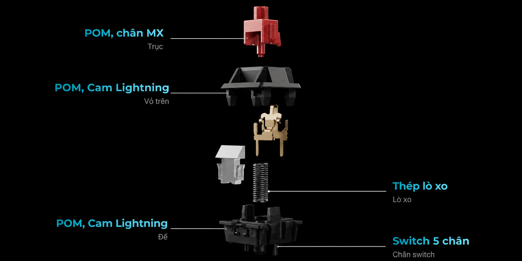 Cấu tạo switch 5 chân của Keychron Q11 Ultra 8K