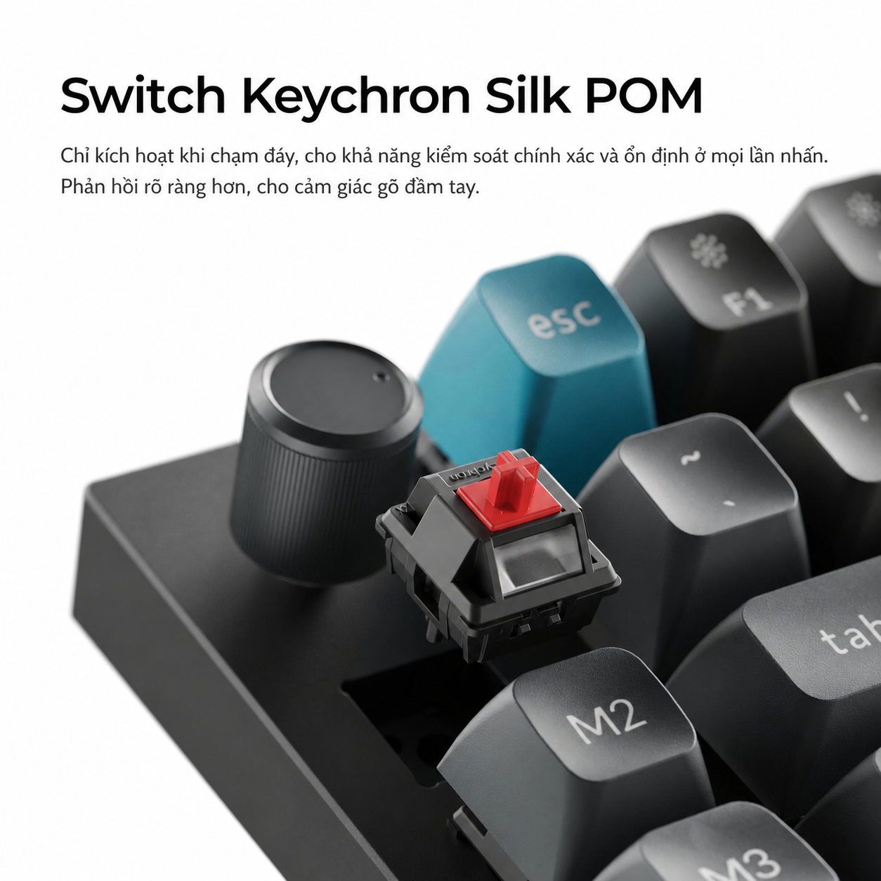 Switch Keychron Silk POM