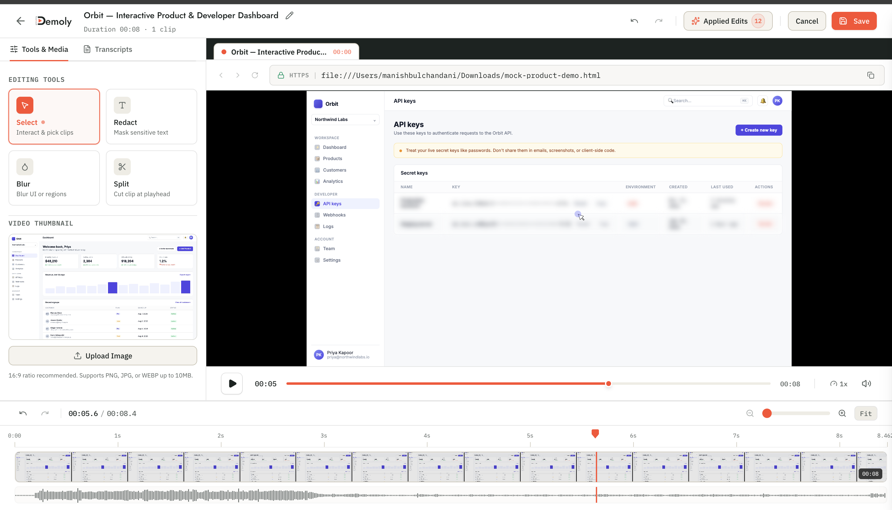 Demoly Visual Editor - Canvas Element Redaction and Blur