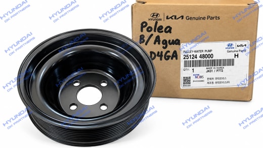 Polea de Bomba de Agua