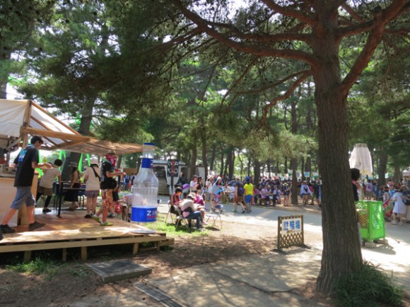 https://res.cloudinary.com/vdeep/image/upload/v1753874089/articles/rock-in-japan-2015-7-580x435_qgcdp3.jpg