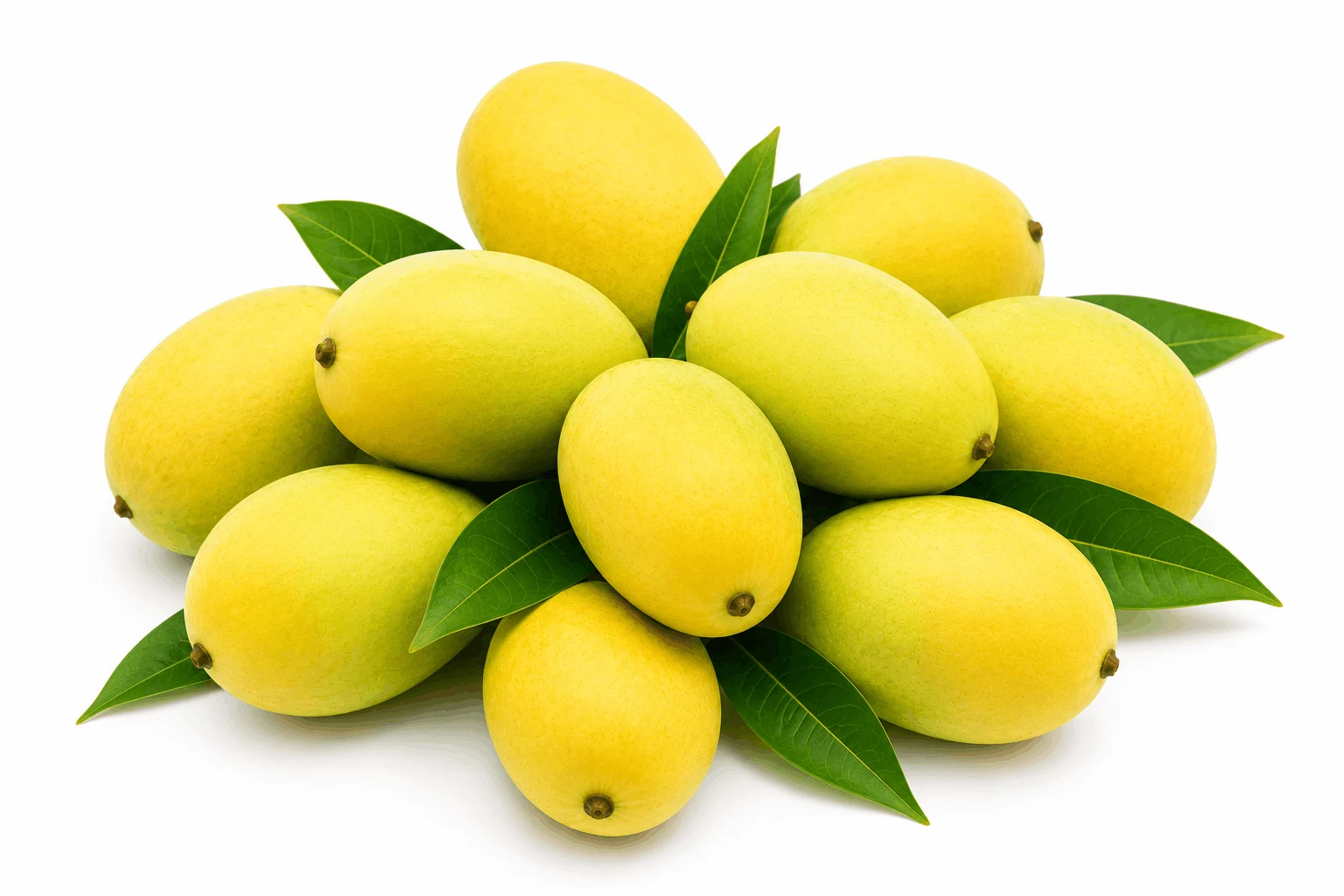 Handpicked Chausa Mango | Grower - Shiv Kumar - KaashtKart