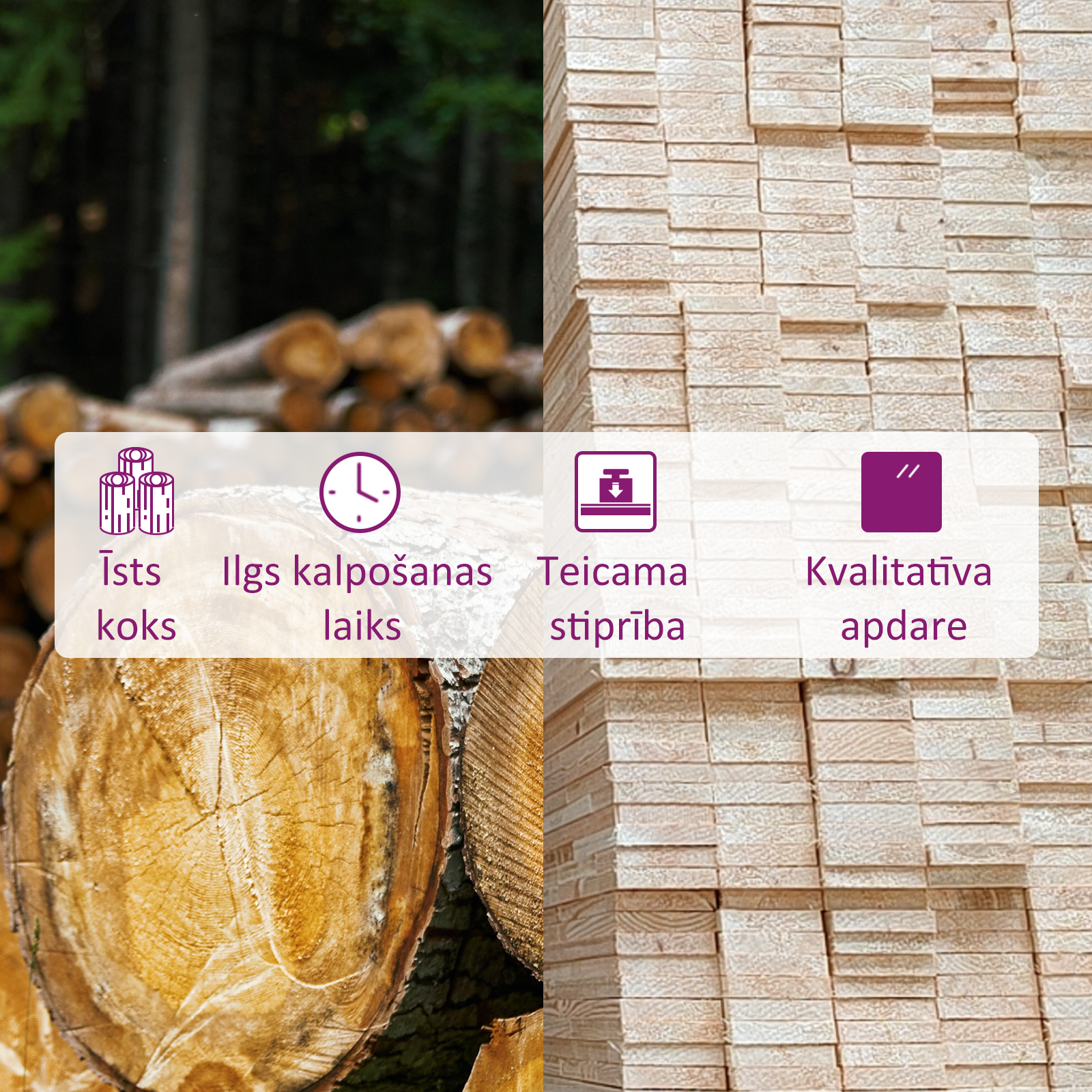 dārza kājsoliņš, priedes masīvkoks