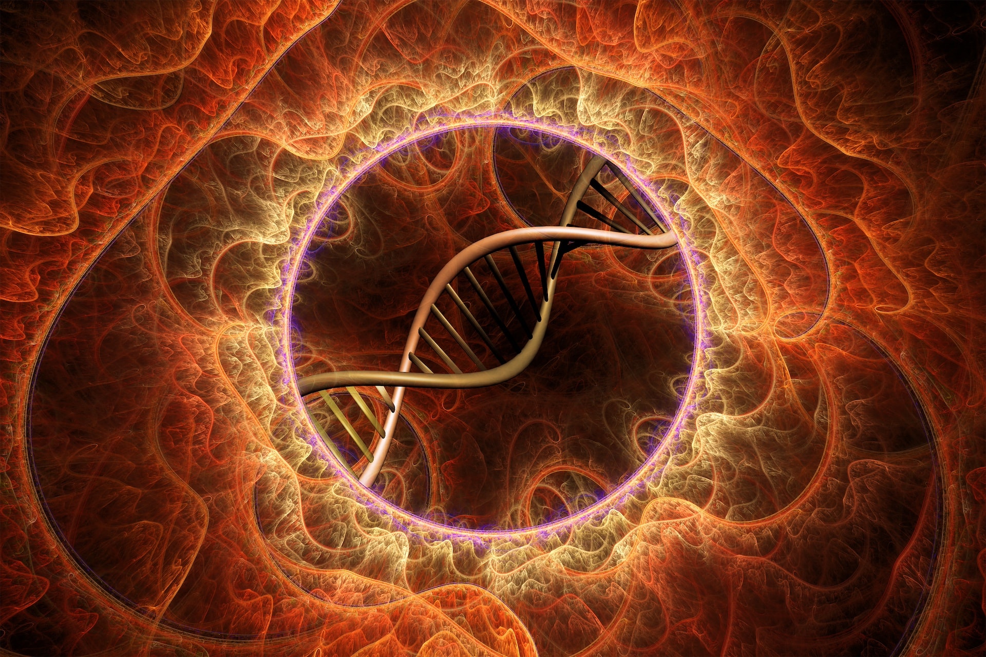 Callideo's DNA is rooted in knowledge and connection.