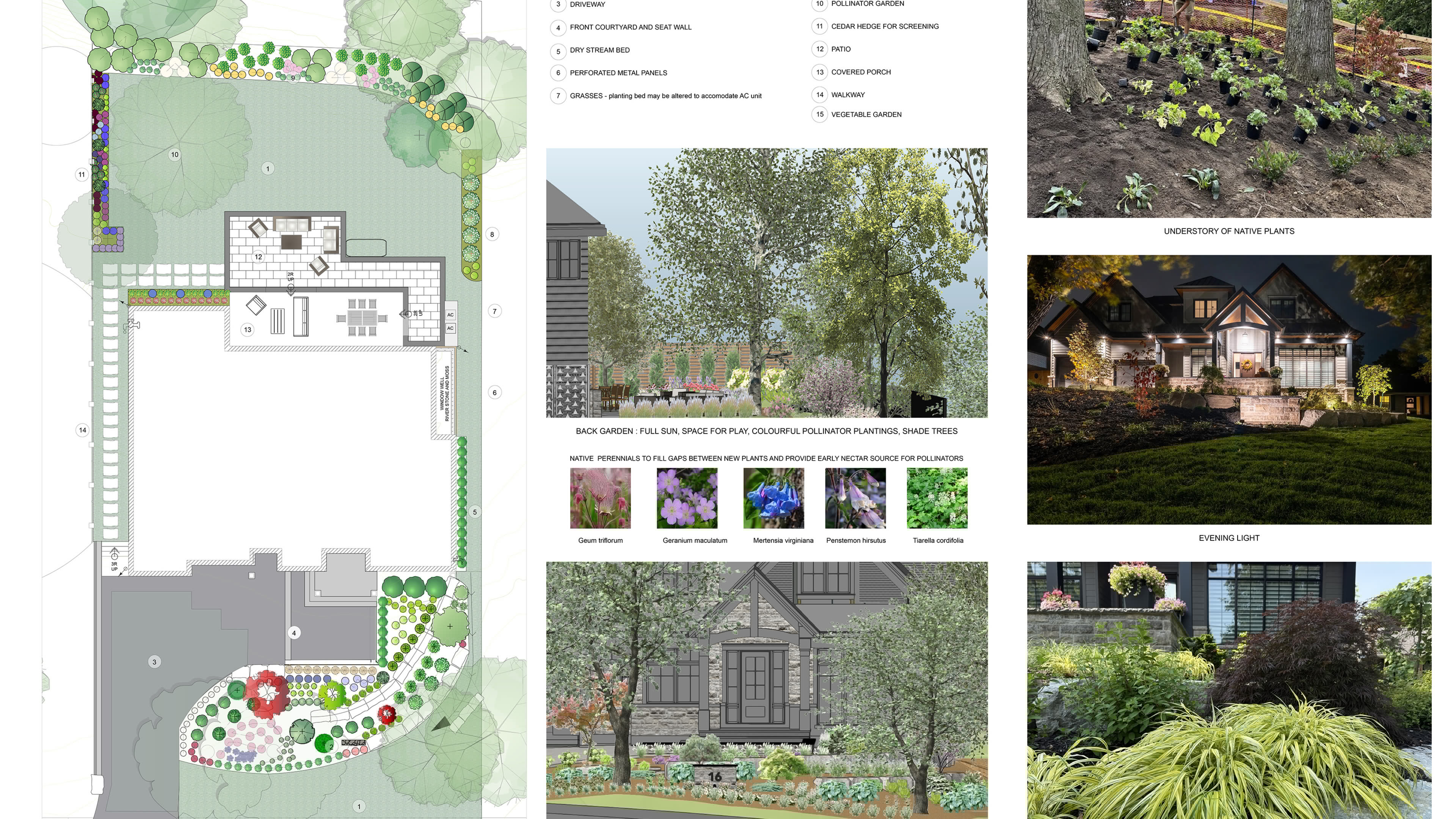 Biodiversity & Creating Space for Native Species
