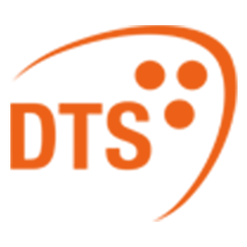 D.T.S. Illuminazione srl