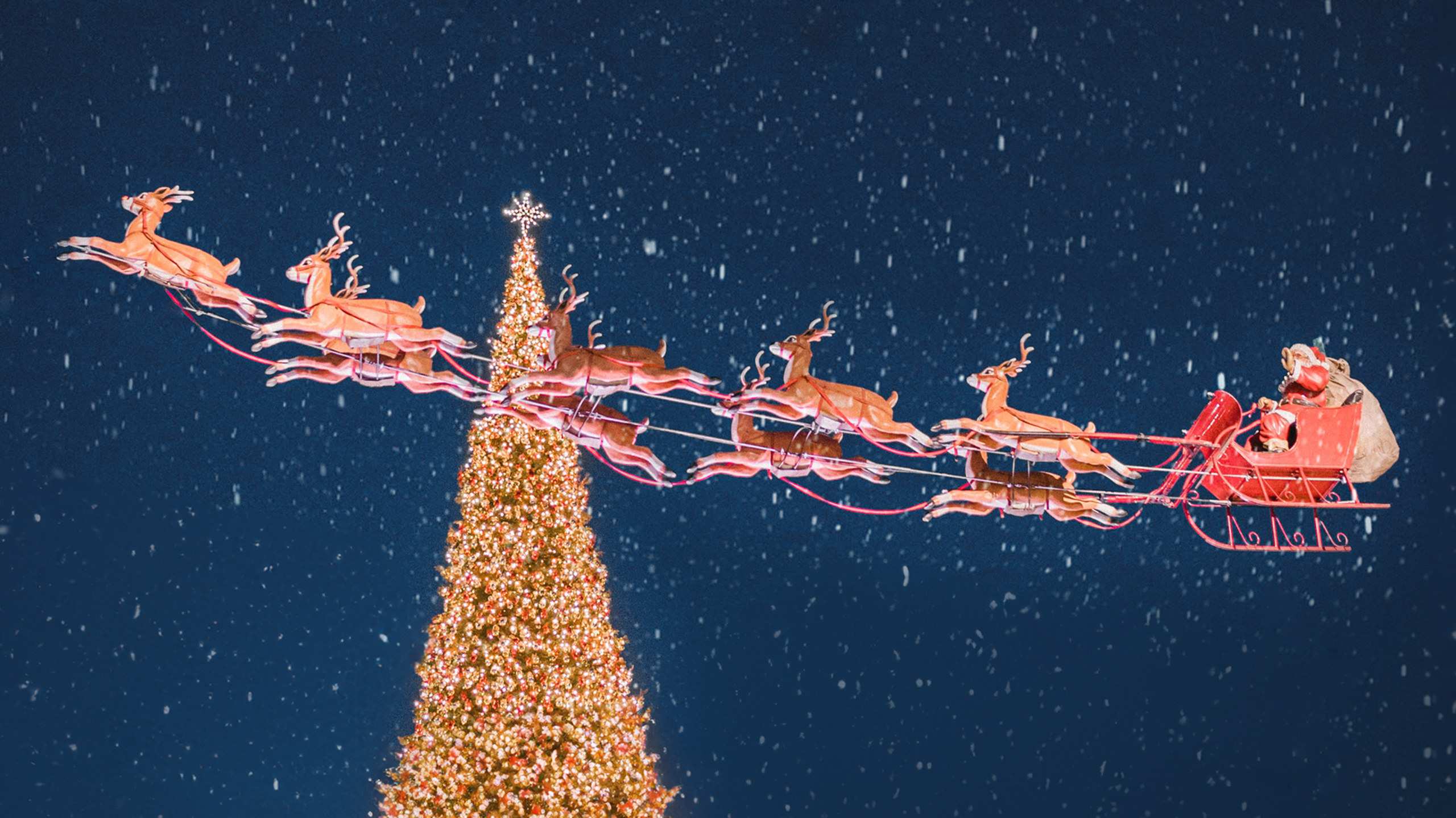 Christmas at The Grove - Christmas at The Grove - VEEPS