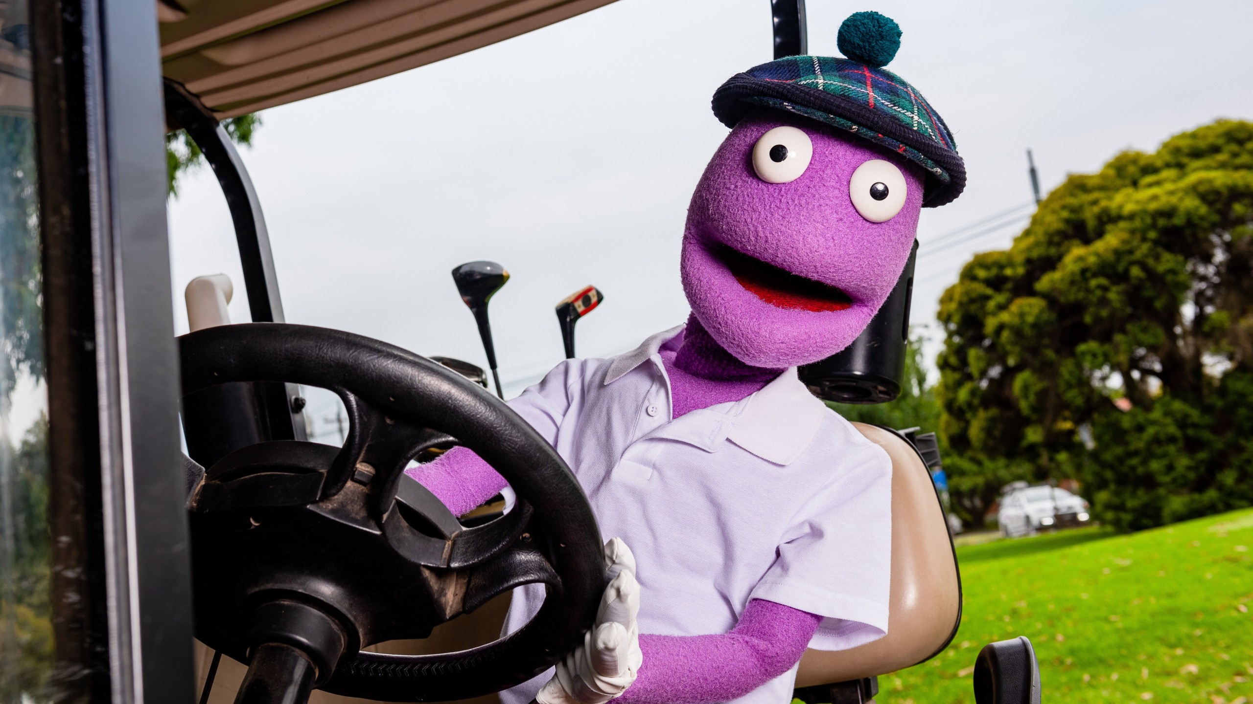 Randy Feltface Purple Privilege Watch Online Free Randy Feltface - Purple Privilege - VEEPS