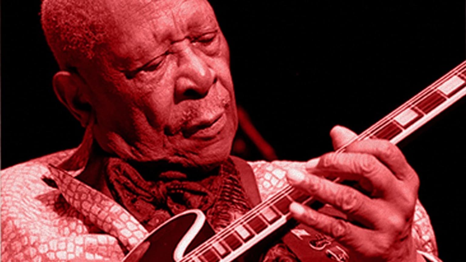 B.B. King - B.B. King - Live At The Royal Albert Hall 2011 - VEEPS