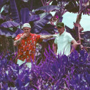 Modest Mouse avatar