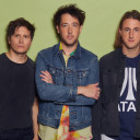 The Wombats avatar