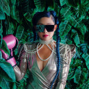 Polartropica avatar